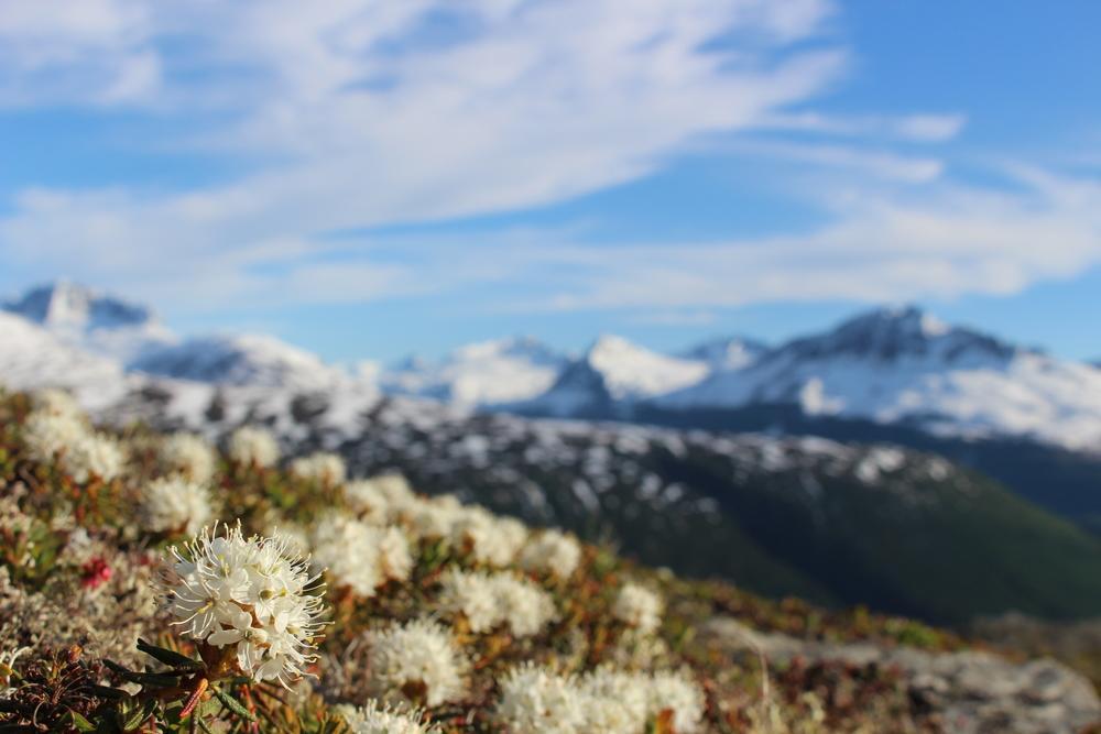 Glacier Hotel Валдіз Екстер'єр фото